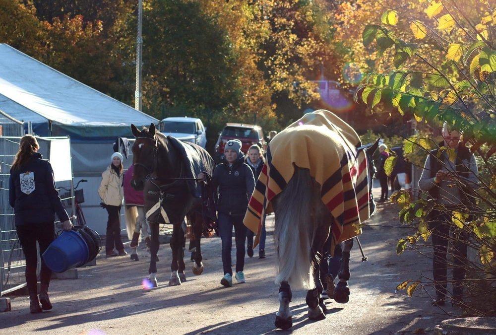 Tampereen Hevoset-messujen bonuspaikka