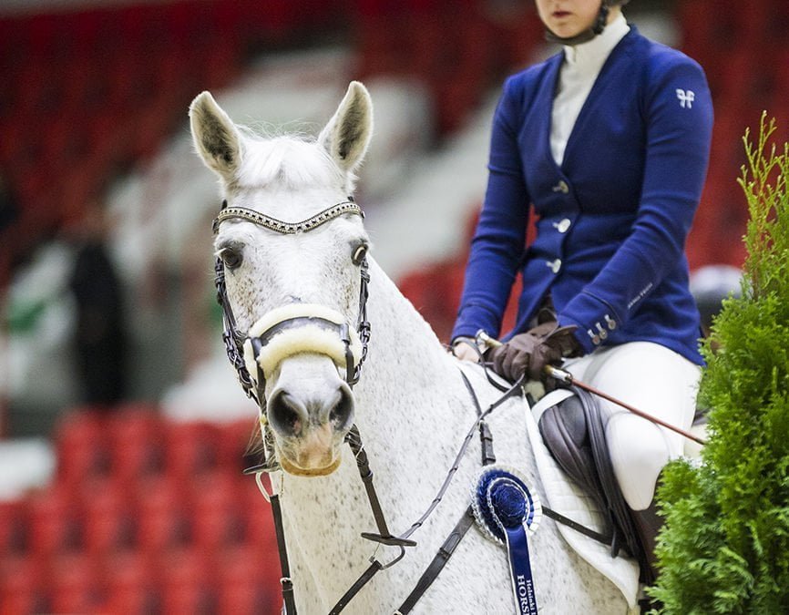 Ilmoittautuminen kansallisiin luokkiin 3.10. mennessä