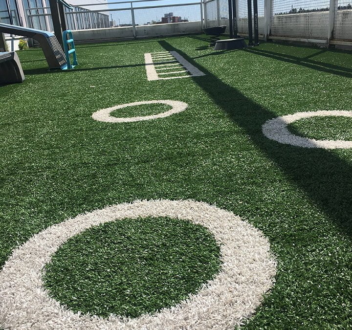 RunFest – HIHS treenaa