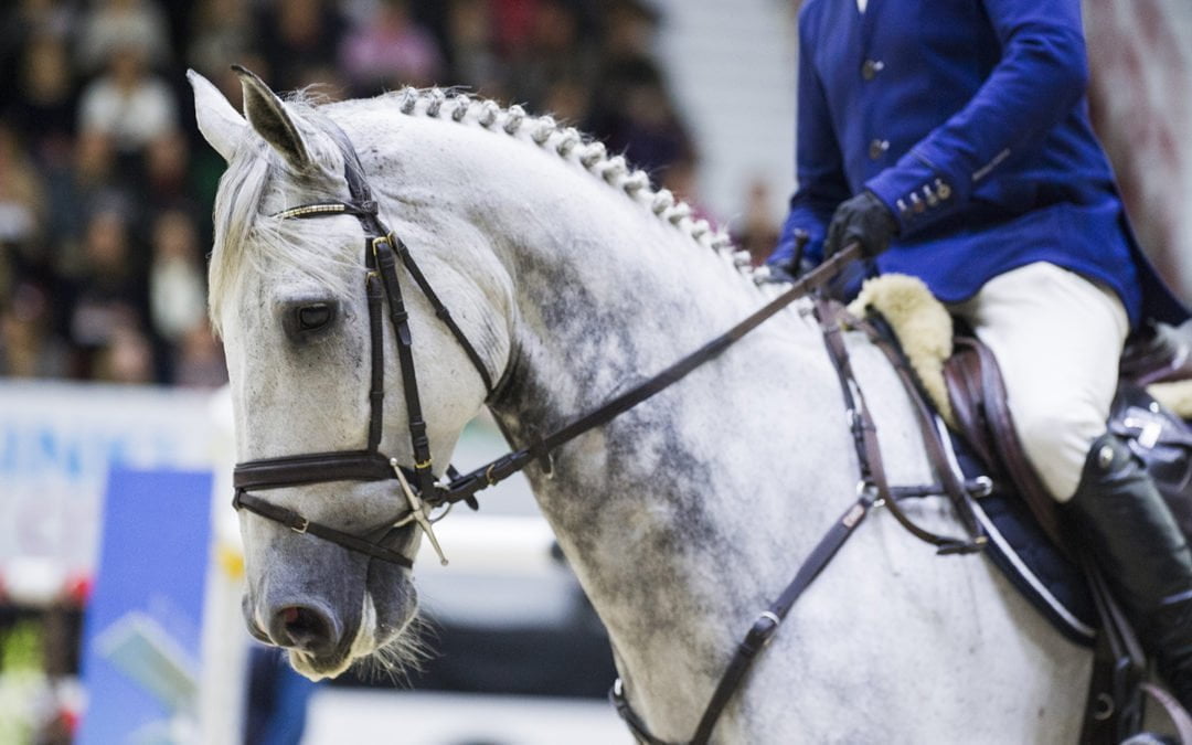 Ypäjä Spring Show’n bonuspaikat