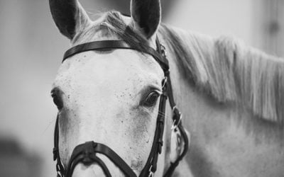 Kuusi päivää HIHSiin! Luvassa superohjelmaa, joka ei jätä kylmäksi