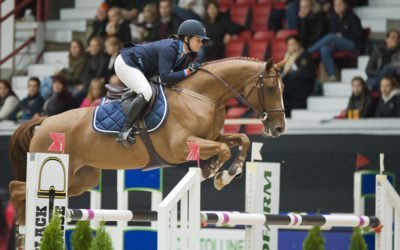 Black Horse Nuoret hevoset ja Talent of the Year