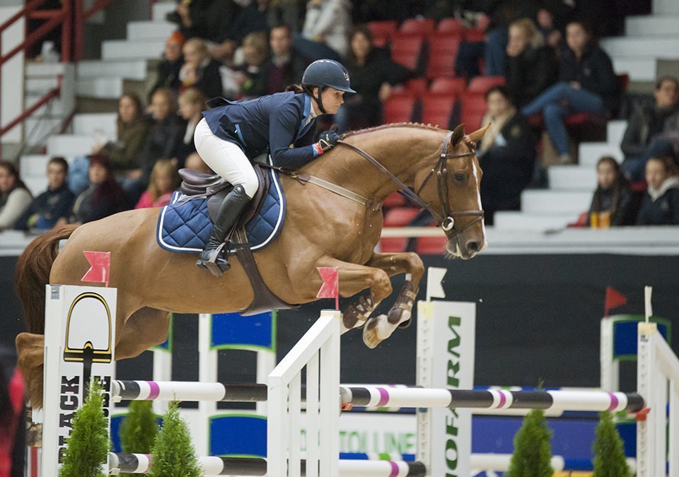 Nuorten hevosten luokat näyteikkuna maailmalle