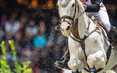 Indoor Eventing – Swindells, Siltakorpi & Jankari haastavat kotimaiset huiput