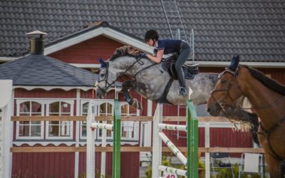 Aada Lätti treenaa täysillä – tähtäimenä Helsinki Horse Show