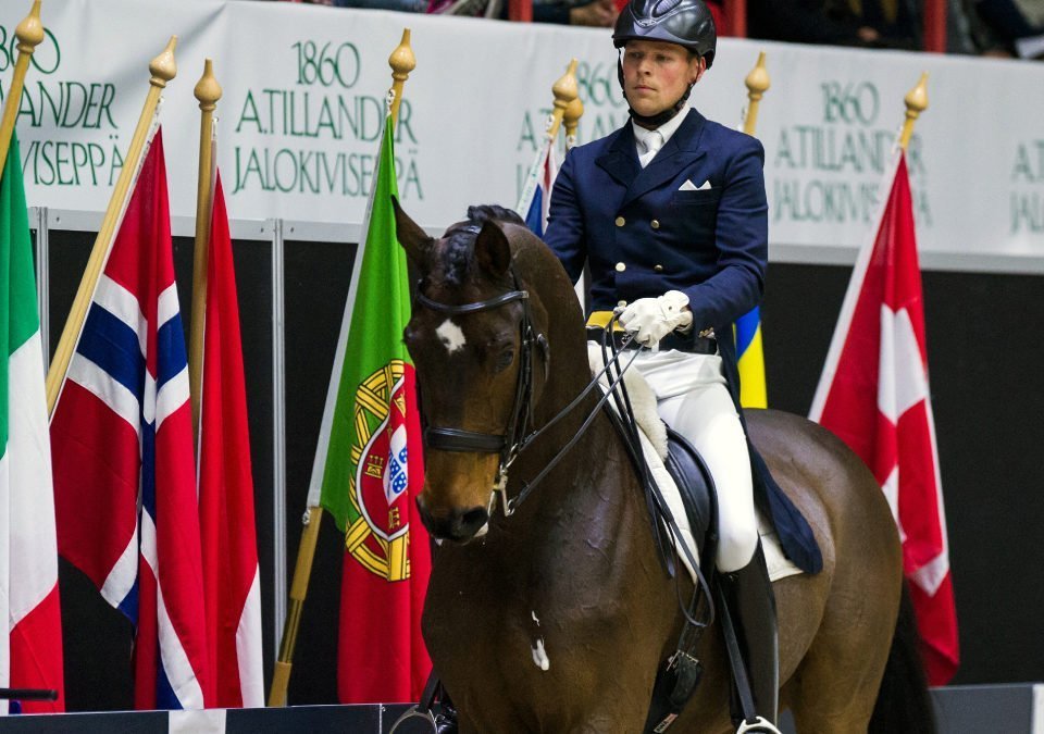 Henri Ruoste kilpailee Horse Show’ssa