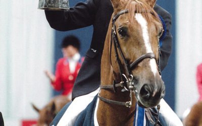 Irlannin Adaressa hurrataan oman kylän pojalle