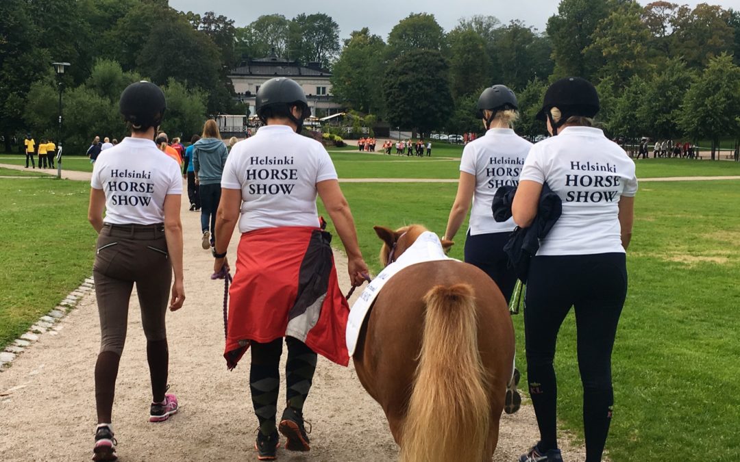 HIHSin vauhdikas vuosi