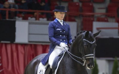 Mitkä ihmeen pisteet kouluratsastuksessa? Olympiatuomari Dietrich Plewa avaa lajin salat