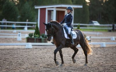 Suomenhevosten klinikan tähdet