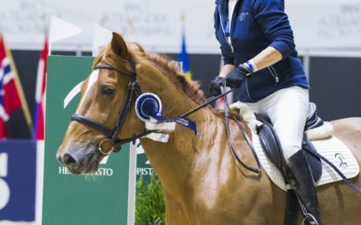 Legendat Radalla – suomenhevoset esittäytyvät