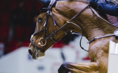 Liity uutiskirjeen tilaajaksi