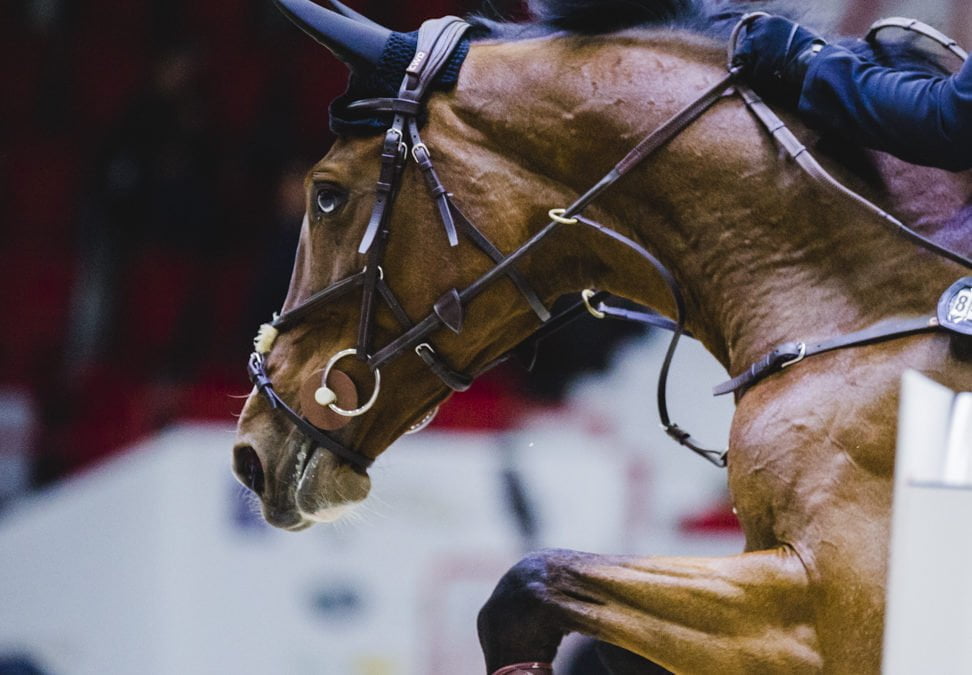 Liity uutiskirjeen tilaajaksi