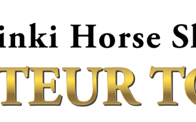 Savonlinnan bonuspaikka