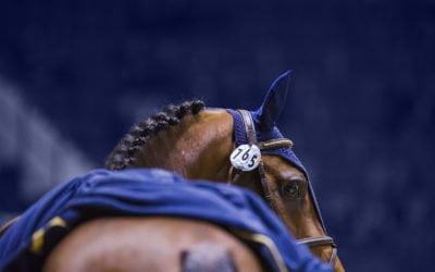 CSI5*-W Helsinki Horse Show Program 2019 launched