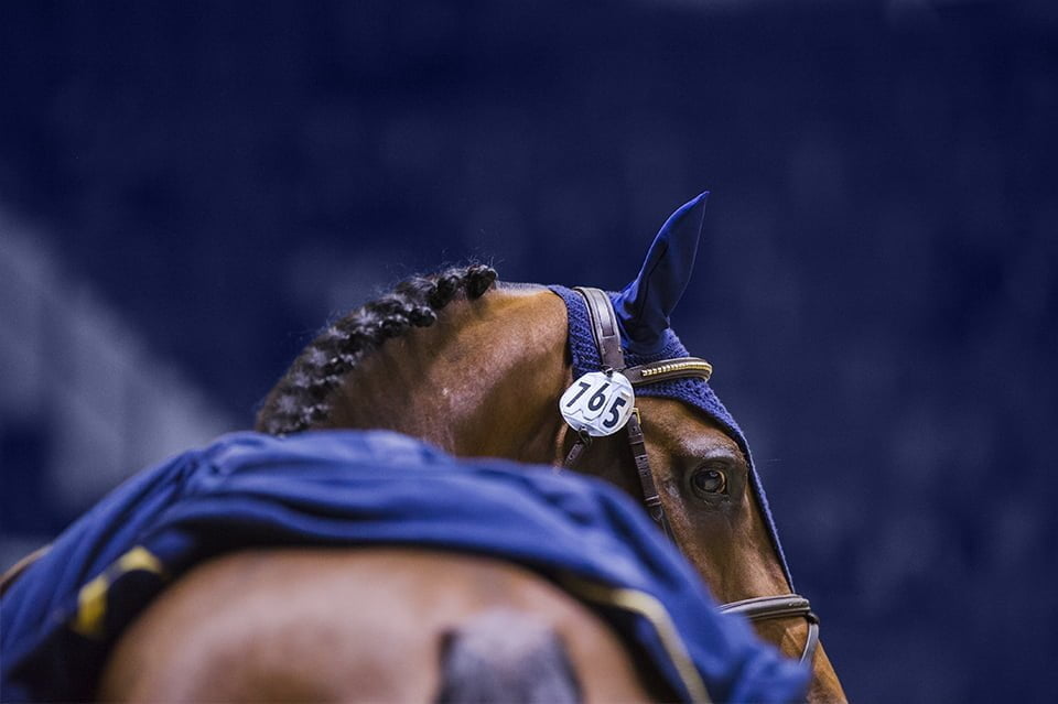 CSI5*-W Helsinki Horse Show Program 2019 launched