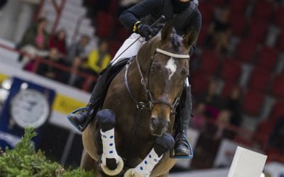 Indoor Eventing ennenkuulumattoman mielenkiintoinen 13:n kultamitalin Michael Jung arvioi suorituksia