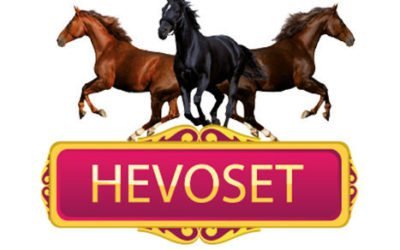 Hevoset-messujen bonuspaikat