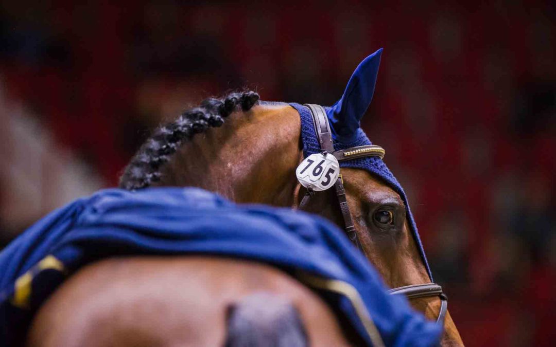 Maailmancupin palkintosumma hurjat 200 000 euroa