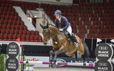 Black Horse Young Horses Tour 4-7-vuotiaille