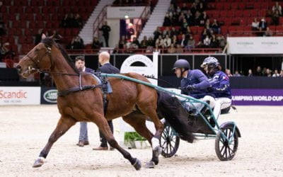 Lauantain ohjelma päättyi hurjiin suorituksiin, kun ratsastajat päästettiin ravihevosten ohjiin