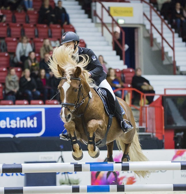 Marja Tetri-Rantanen ja Niisun Nestori Suomenhevosten 110 cm luokan voittoon