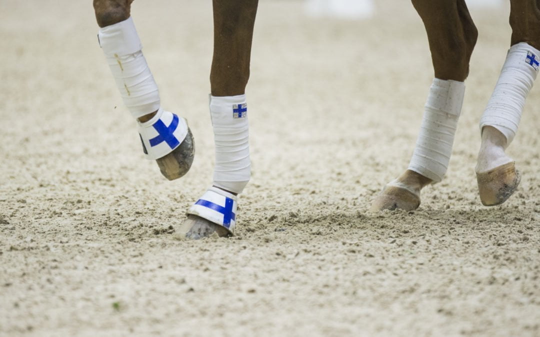 Anna von Wendt wins the Knock Out Dressage