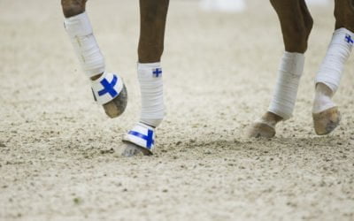 Anna von Wendt wins the Knock Out Dressage