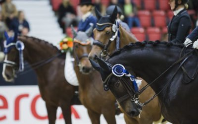 Horse Shown kouluratsastusluokkia arvostelee kaksi kansainvälistä 5* tuomaria