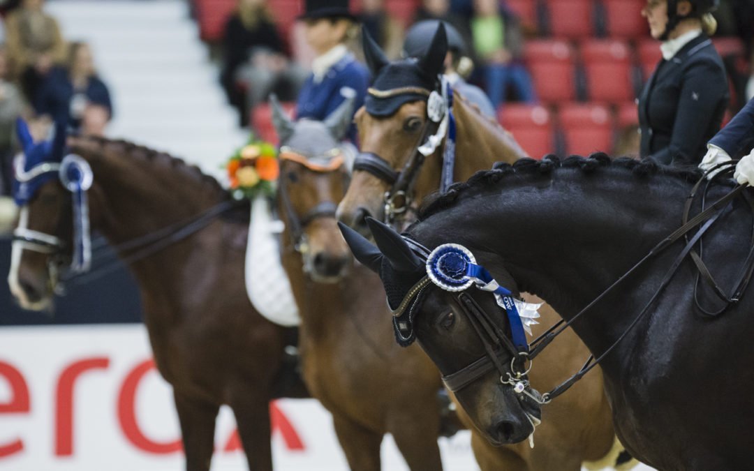 Sandra Dahlin wins LähiTapiola Grand Prix Freestyle