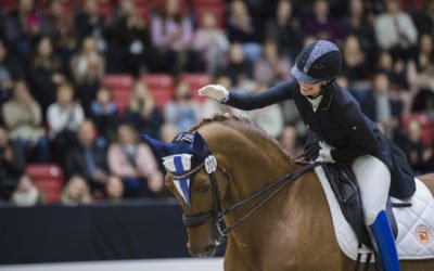 Insinööriliitto ja Horse Show: Kuukauden sponsorointinosto