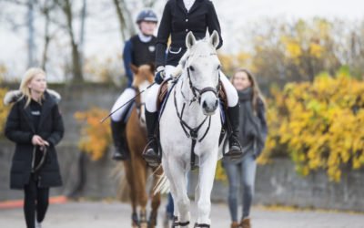 Amateur Tour pähkinänkuoressa