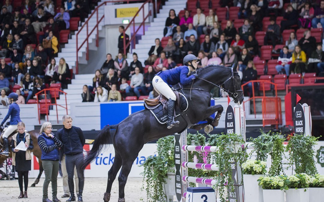 Uusi Pohjola-estesarja huipentuu HIHS’ssä