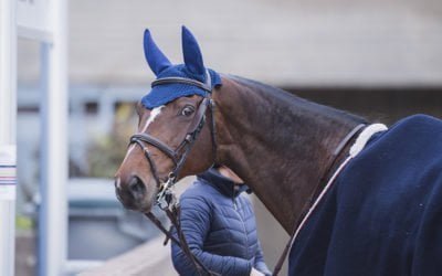 Pohjola Vakuutus ja hevostarvikeketju Hööks Horse Show’n uusimmat kumppanit