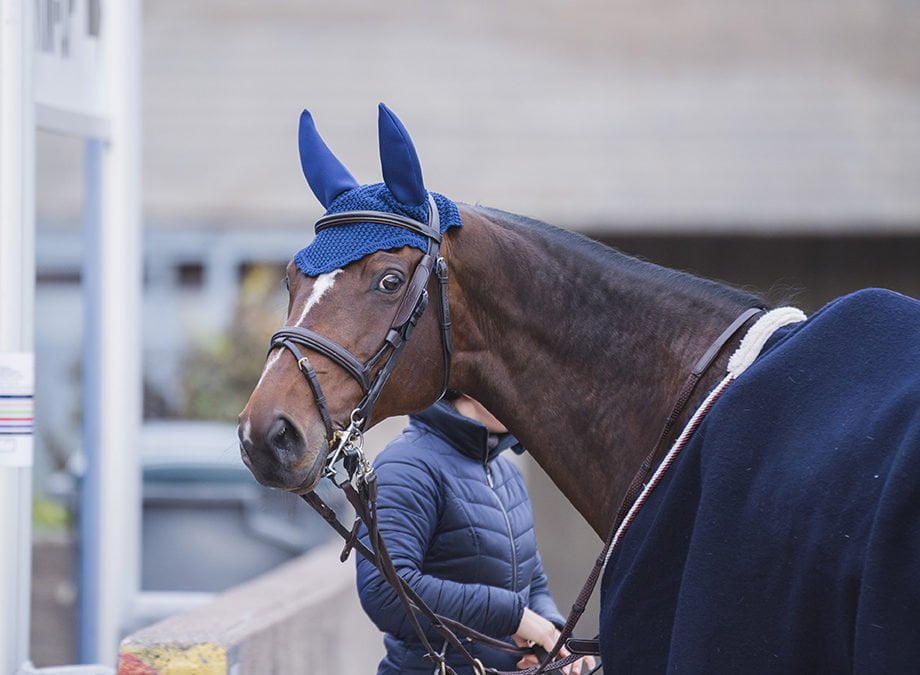 Pohjola Vakuutus ja hevostarvikeketju Hööks Horse Show’n uusimmat kumppanit