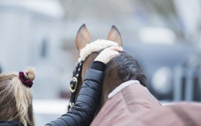 Helsinki Horse Show signs two new sponsorships
