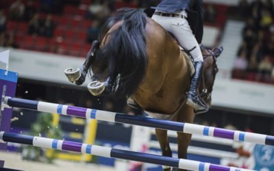 Uusittu Horse Show kiinnostaa – Lipunmyynnin aloitus sen osoittaa