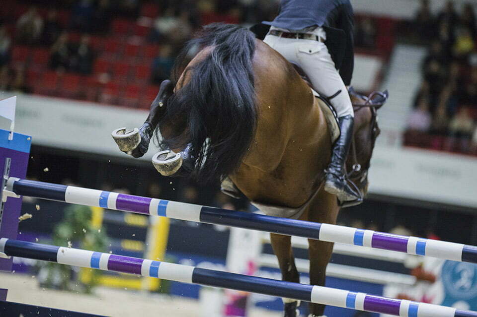 Uusittu Horse Show kiinnostaa – Lipunmyynnin aloitus sen osoittaa