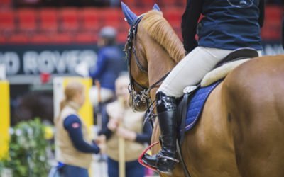 Helsinki Horse Show huomioi koronaviruksen vaikutukset