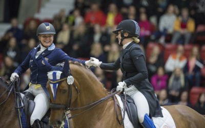 Katse kohti syksyä – Hyvässä Seurassa jäsenedulla edullisesti HIHSiin