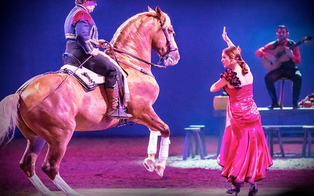 Tutustu Cavalluna-hevosshow’n kirkkaimpiin tähtiin