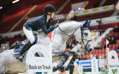 Meistä jokainen on Horse Show’n sydän