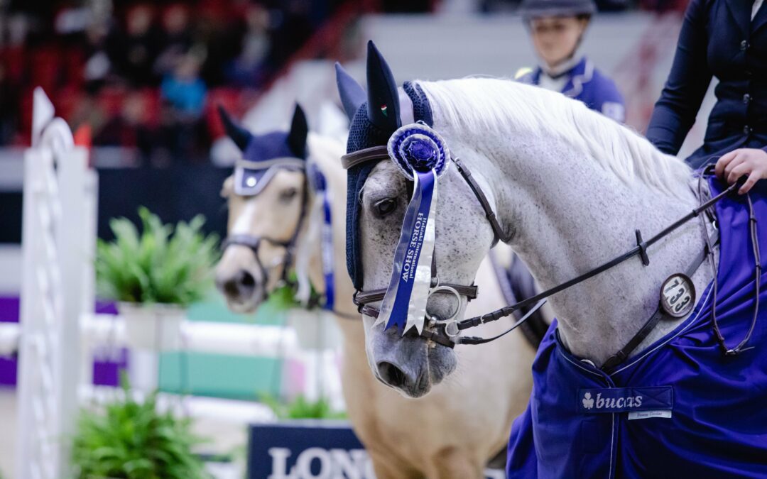 Helsinki Horse Show´n Tasotuoppi Trophy presented by Svartvik Stables toteutuu