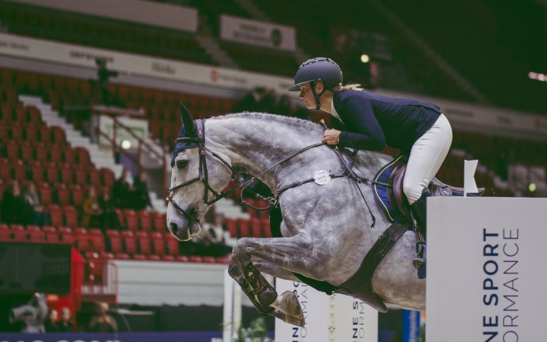 Black Horse Nuoret Hevoset 4-5-6-7 v