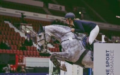 Black Horse Nuoret Hevoset 4-5-6-7 v