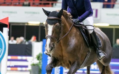 Noora Turunen ja Ojavallin Nuppu Pohjola Finnhorse Grand Prix voittajat