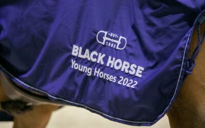 4-vuotias Lustig TS on nuorten hevosten Talent of the Year