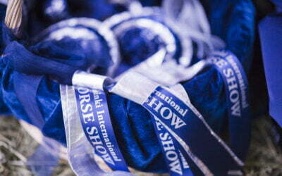 Helsinki Horse Show’n ohjelma julkistetaan helmikuun 1. päivänä. Lipunmyynti alkaa – parhaat paikat nyt tarjolla!