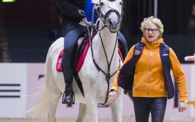 Marraskuu, hevosharrastajan parasta aikaa?