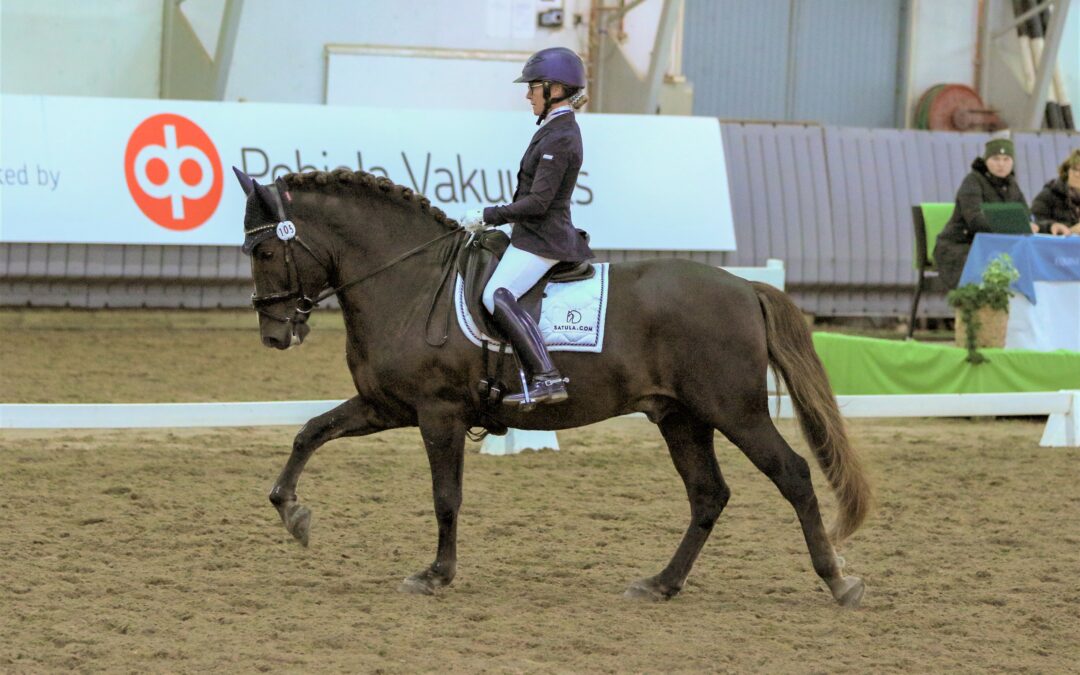Pohjola-sarjan parhaat kouluratsastajat valloittavat Helsinki Horse Show´n –  Pohjola Superfinaalista huikea voittajien kohtaaminen